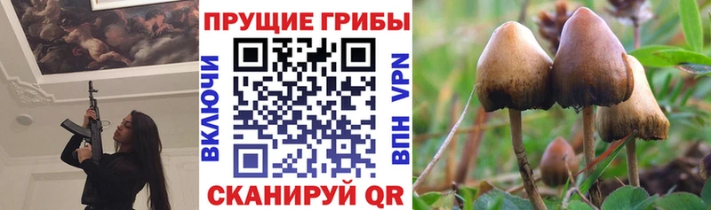 цена наркотик  OMG как зайти  Галлюциногенные грибы MAGIC MUSHROOMS  Узловая 